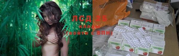 2c-b Надым