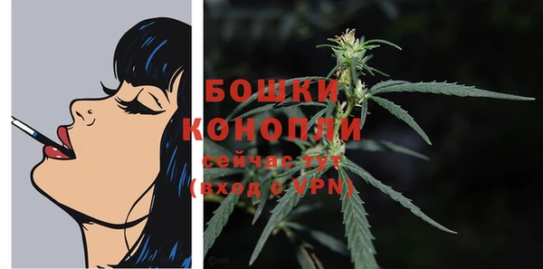 2c-b Надым