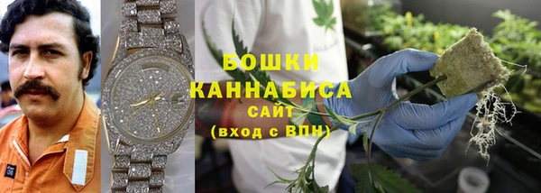 стафф Нефтегорск