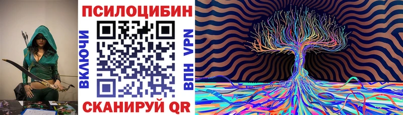 Псилоцибиновые грибы мицелий  Николаевск 
